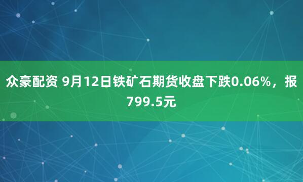 众豪配资 9月12日铁矿石期货收盘下跌0.06%，报799.5元