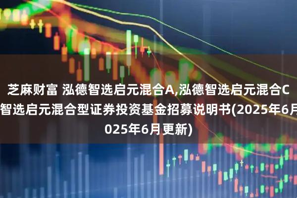 芝麻财富 泓德智选启元混合A,泓德智选启元混合C: 泓德智选启元混合型证券投资基金招募说明书(2025年6月更新)
